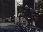 The Leaves (2006)