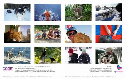 Canada CODE wallpaper - Cats Dogs